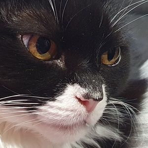 Meet your Posher, Ximena